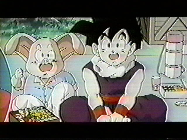 Dragonball Z Movie 8 (33).jpg